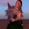 [Koli's Avatar]